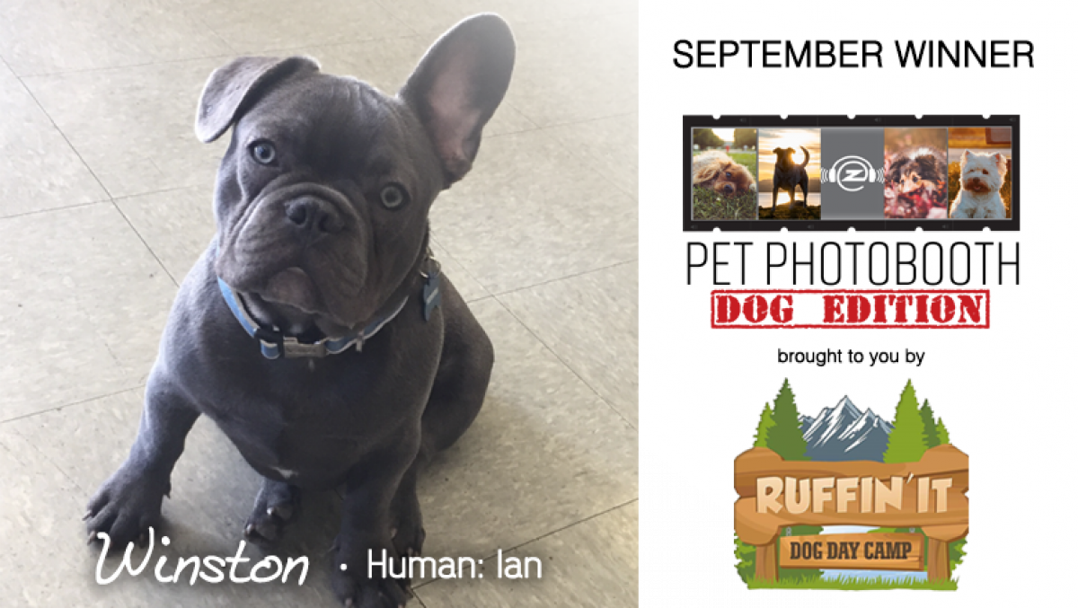 The Zone's Pet Photobooth - Dog Edition brought to you by Ruffin'It
